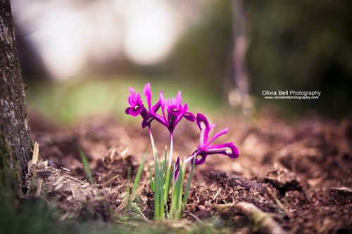 �����ж�����ǽ�赲���ܻ���һ����������������� (6)