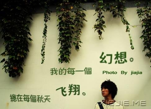 ��Щ�����ڲ������Ժ��л�������