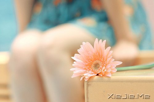 ��̬���ã��������� (3)