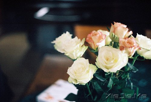 ѡ��������£�ڹ�Ϳ��������� (4)