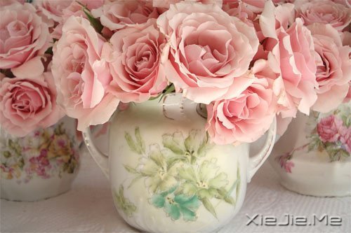 ֻ��֪��ж�������Ц������ (7)