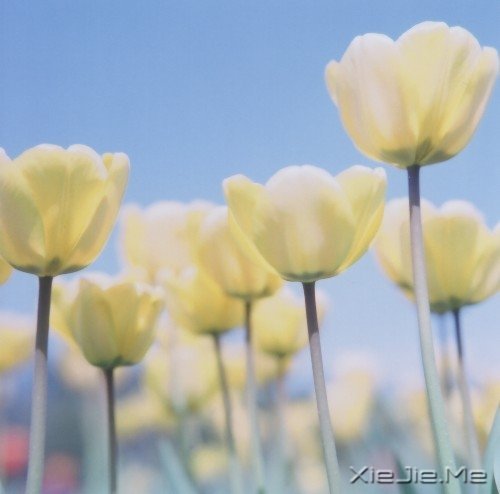 ���Լ����ˣ��Ż����˰� (4)