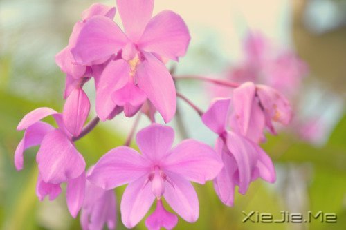 �ܲ���ʱ����ܹ�������Լ� (7)