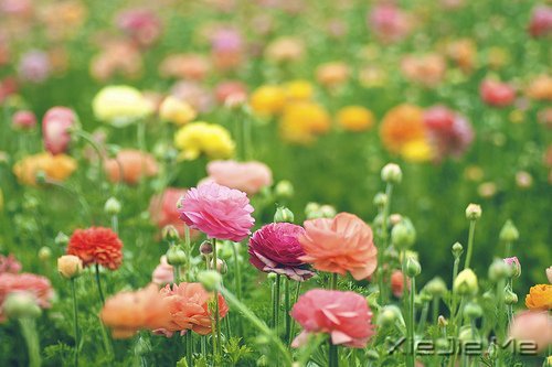 ����˥�ϵĲ������գ����ǲ��ҽ�ȡ���� (3)