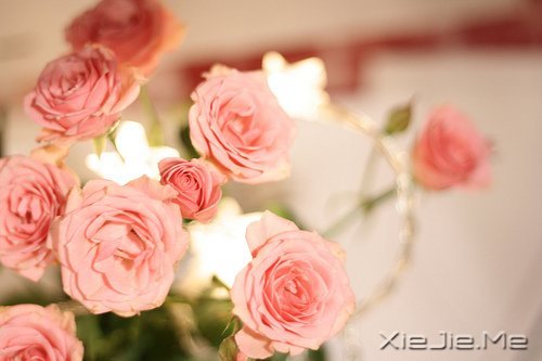 ����Ĺ¶�����һƬ�ڰ���������ֻ�ܿ����Լ� (3)