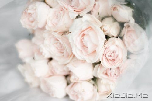 һ·�ж�����������ϧ (3)