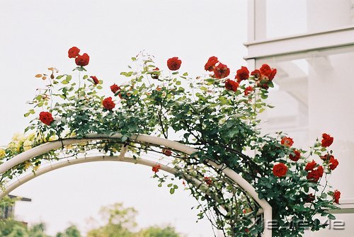 �������ֻ���벻ͨ���ˣ�û���߲�ͨ��· (5)