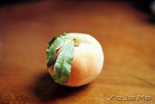 �����������ø��ã���Ϊ���Լ� (1)