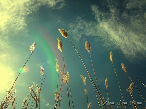 �������Զ�����Ƿ羰�������Ĳ������� (2)