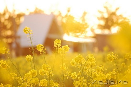 �簲����߽����·�������µ����� (2)