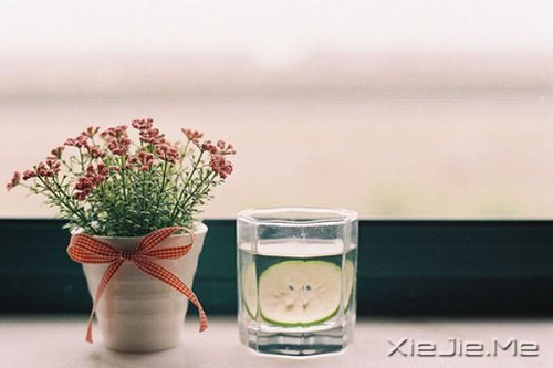 ���������������ڰ�����������ƻ� (10)