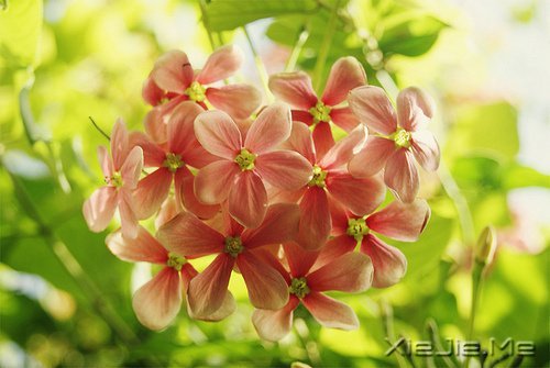 �������������ת���������¿�ʼ (9)