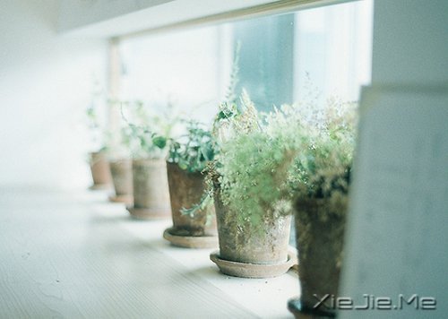 ��ʱ��Ķɿڣ����ǽ��ǹ��� (12)