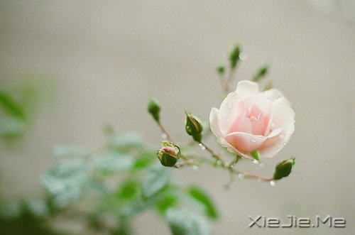 ������������������ǵ�Ȼ (2)