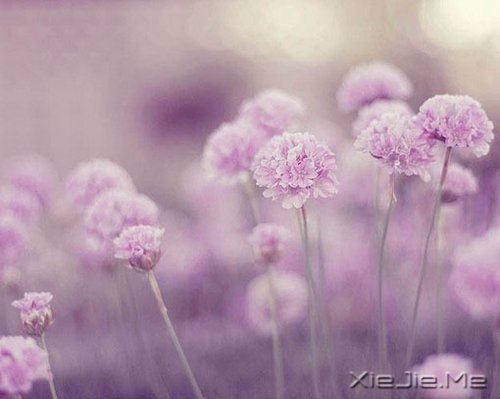 �ʵ��ķ��������������ŵ�ת�� (9)