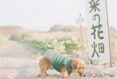 �����������Щ˲�䣬����ů�������� (8)