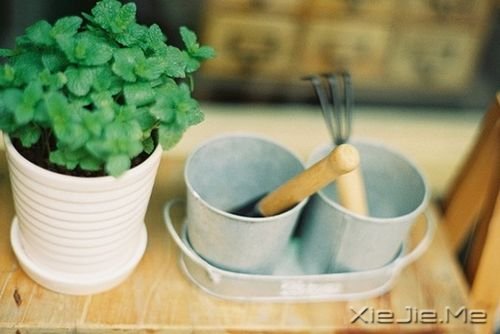 �����������������ǳЦ��Ȼ (4)