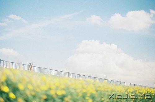 �������ͣ�ڷ羰�Ϊ�Լ����׸� (6)