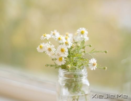 ��������˲������ں�ҹ���������û������ (3)