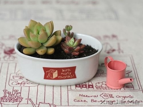 �簲���û��ʲô�ѹ������ڲ�ͬ (1)