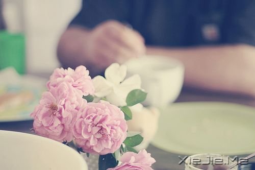 �������������Ҳ������������� (10)