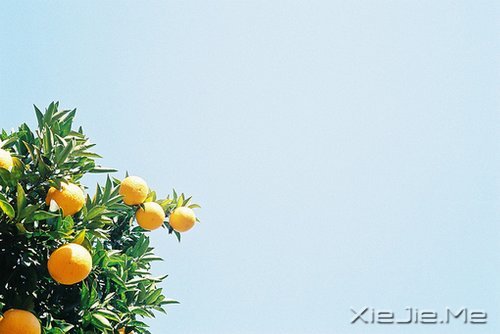 �簲�������Ҳ���ô�ں��������򵥵ö� (10)