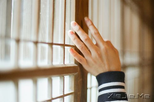 �簲�����ǿ���ϣ��������� (8)