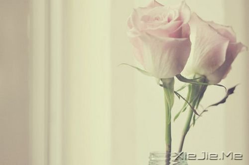 �������������������Լ� (6)