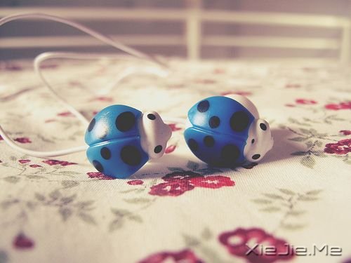 ���������Ҫ������ʵ���Լ� (5)