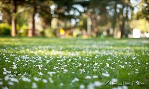 �簲����������Կ��ƣ������᲻������ (6)