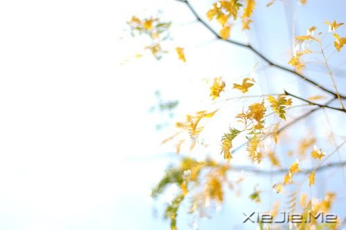 �簲����������з����꣬Ҳ������ (9)