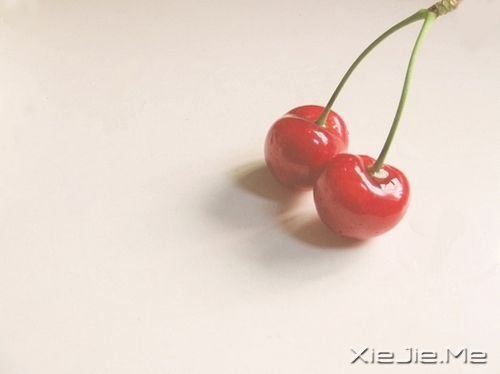 �������ϰ���˼�į֮��һ���˾���ȫ���� (1)