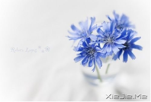 ���������Щ�����������ӵ����ǿ��ĳ�� (10)