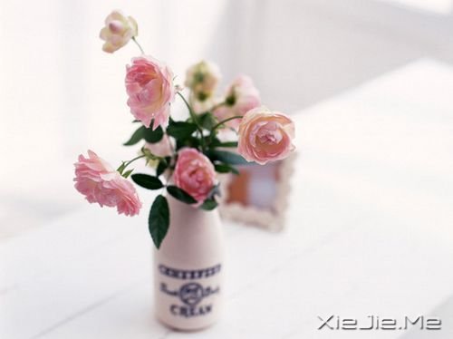 �����������������Ķ����������ͺ��� (1)