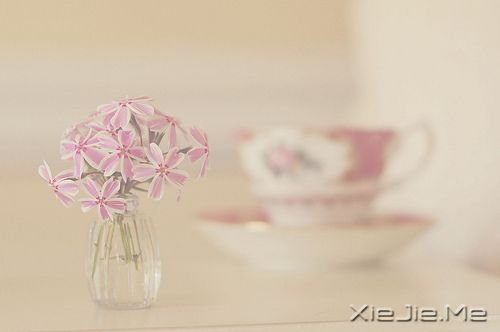 �簲����վò�һ�����飬���ض������� (6)