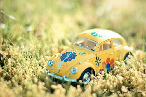 С����ͼƬ (1)