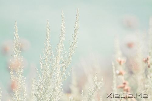 ˯�����տ��ϣ���ʹ��ɥ��Ҳ���泯���� (4)