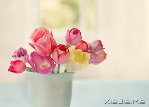 20�굽30��Ӧ��ѧ���5���� (1)