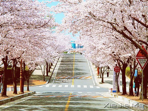 ���������ģ������ǻ� (10)