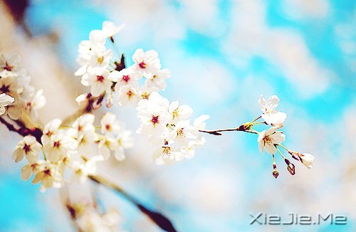 2014����12�������ı��Լ� (6)