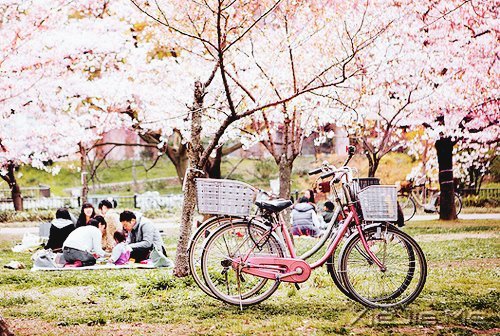 ������Լ���10��Լ�� (8)