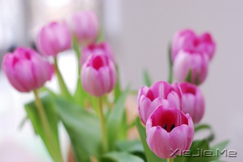 �����������ĸ������ͱ���Ĺ��� (7)