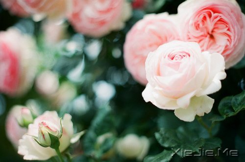 д�˽����ʣ�������һ�� (2)