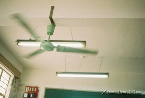 ���ڱ�ҵ��20�׸����Ƽ� (8)