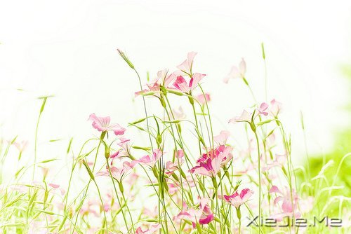 10����ů��Ӣ�ĸ����Ƽ� (5)