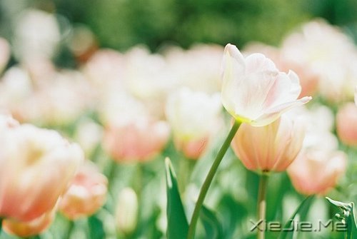 ʲô��0.8����ѧ��������Ҫ�壬����Ҫ����