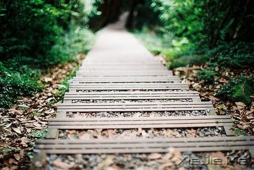 ���֣����Ƕ�ȱ�ٸı��Լ�������