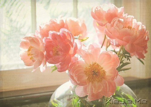 ��������Ҫ�ģ�����ʱ����ѧ�᳤��