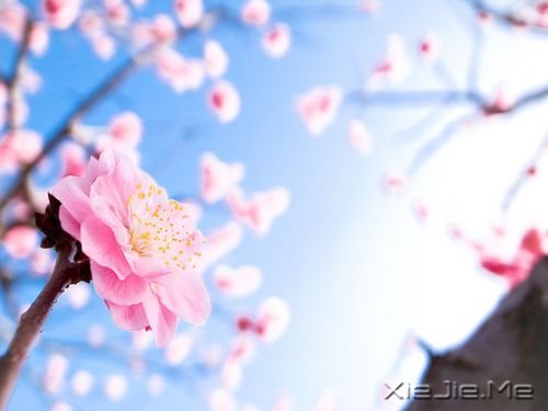 �����׶��Ķ���