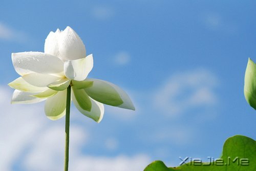 ������֤